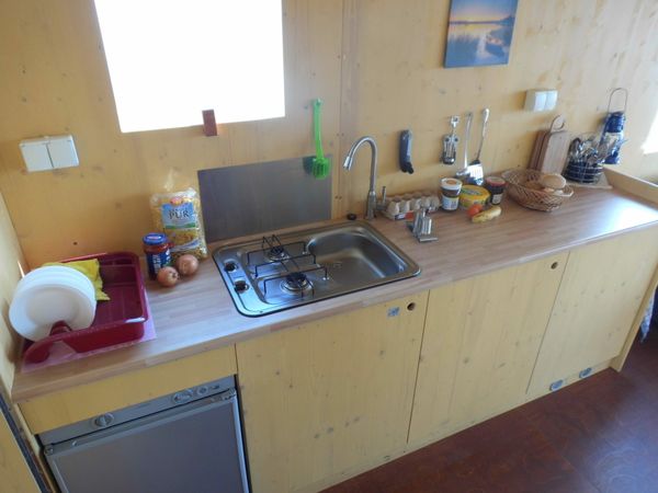 Tom Sawyer TS1000 | Sawyer