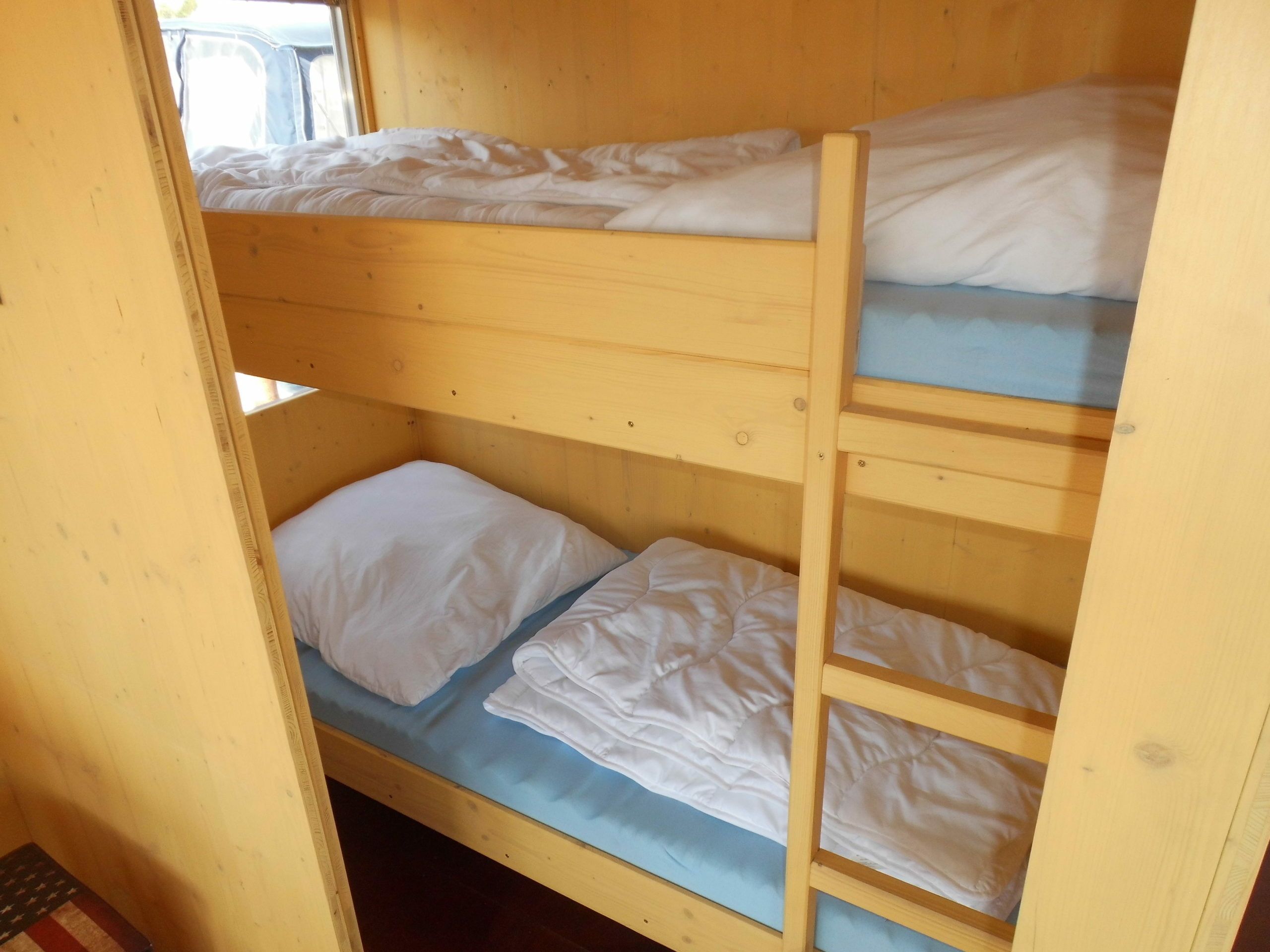 Tom Sawyer TS1000 | Sawyer