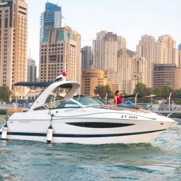 Four Winns Vista 275 | Angel