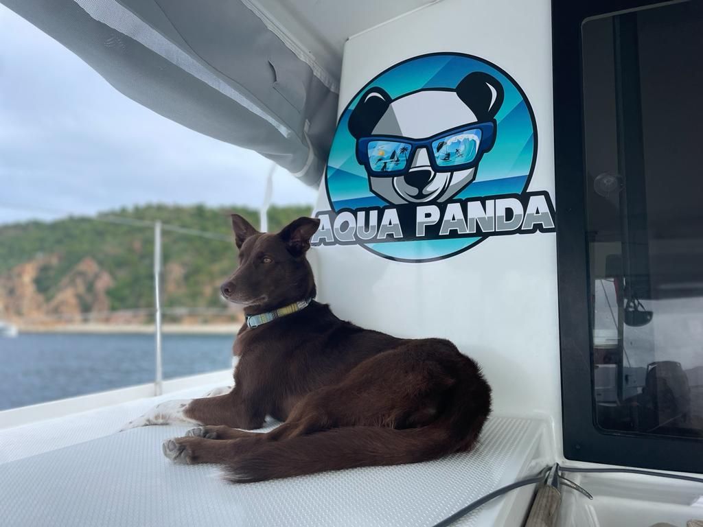 Fountaine Pajot Lucia 40 | Aqua Panda