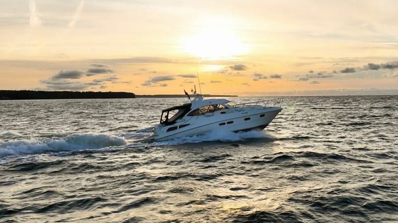 Sealine C390 | La Mouette