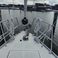 Bavaria Cruiser 46 | Mola 17-4 Breege