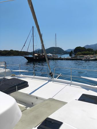 Bali Catsmart | Timeless