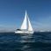 Dufour 382 | Sunny Blue
