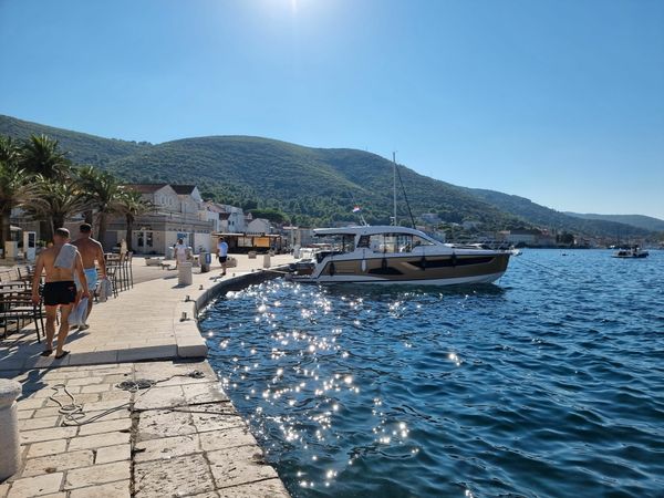 Sealine C390 | Tireless