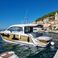 Sealine C390 | Tireless