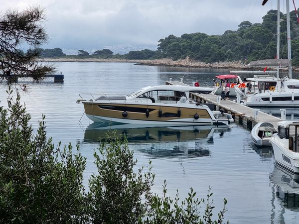 Sealine C390 | Tireless