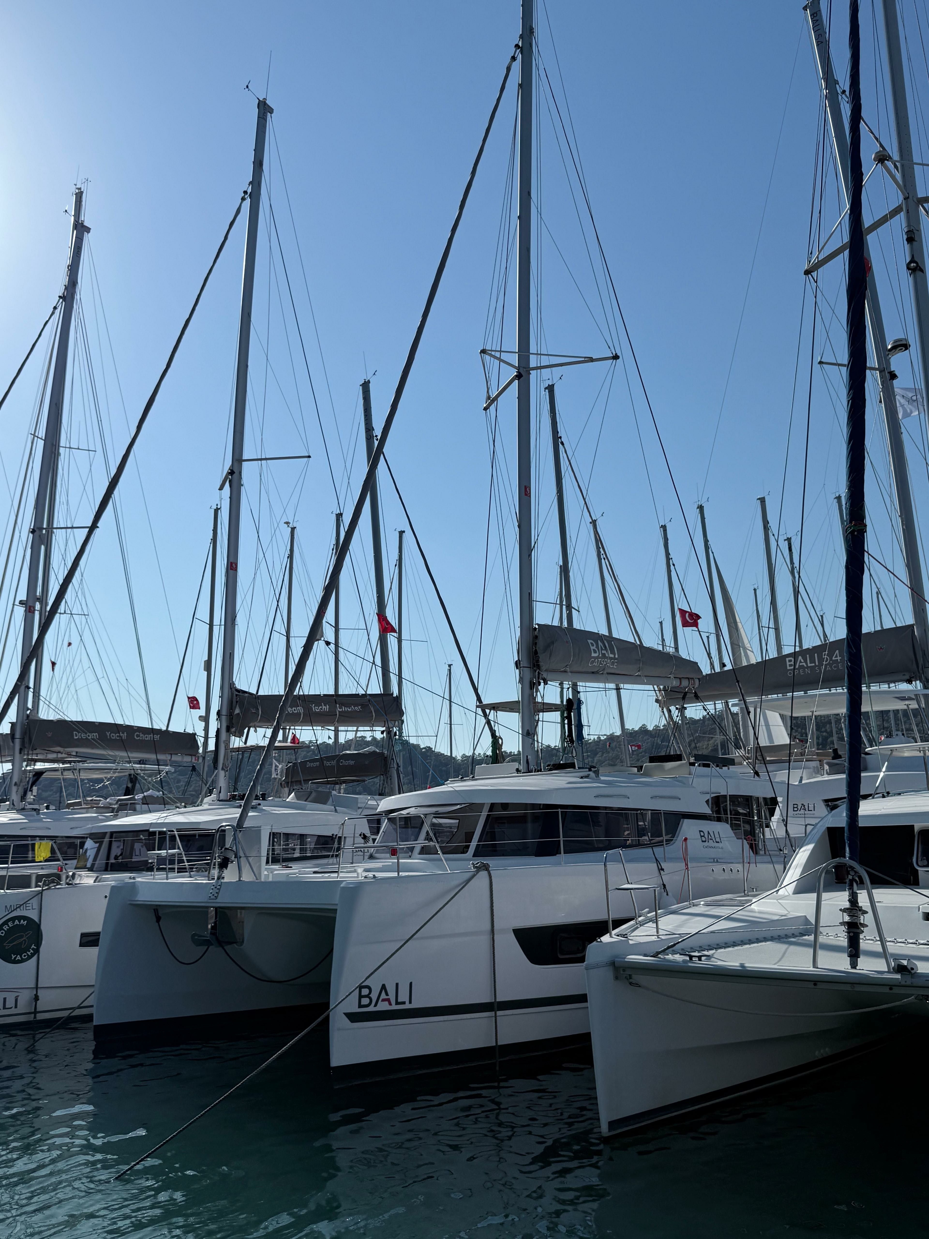 Bali Catspace | Daydream