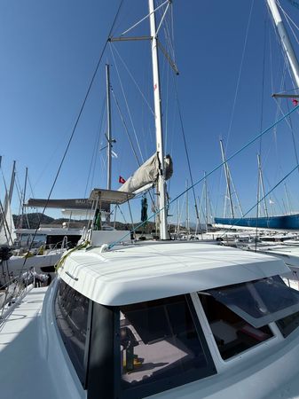 Bali Catspace | Daydream