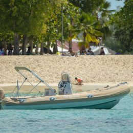 Zodiac Medline 580 | Zodiac 2