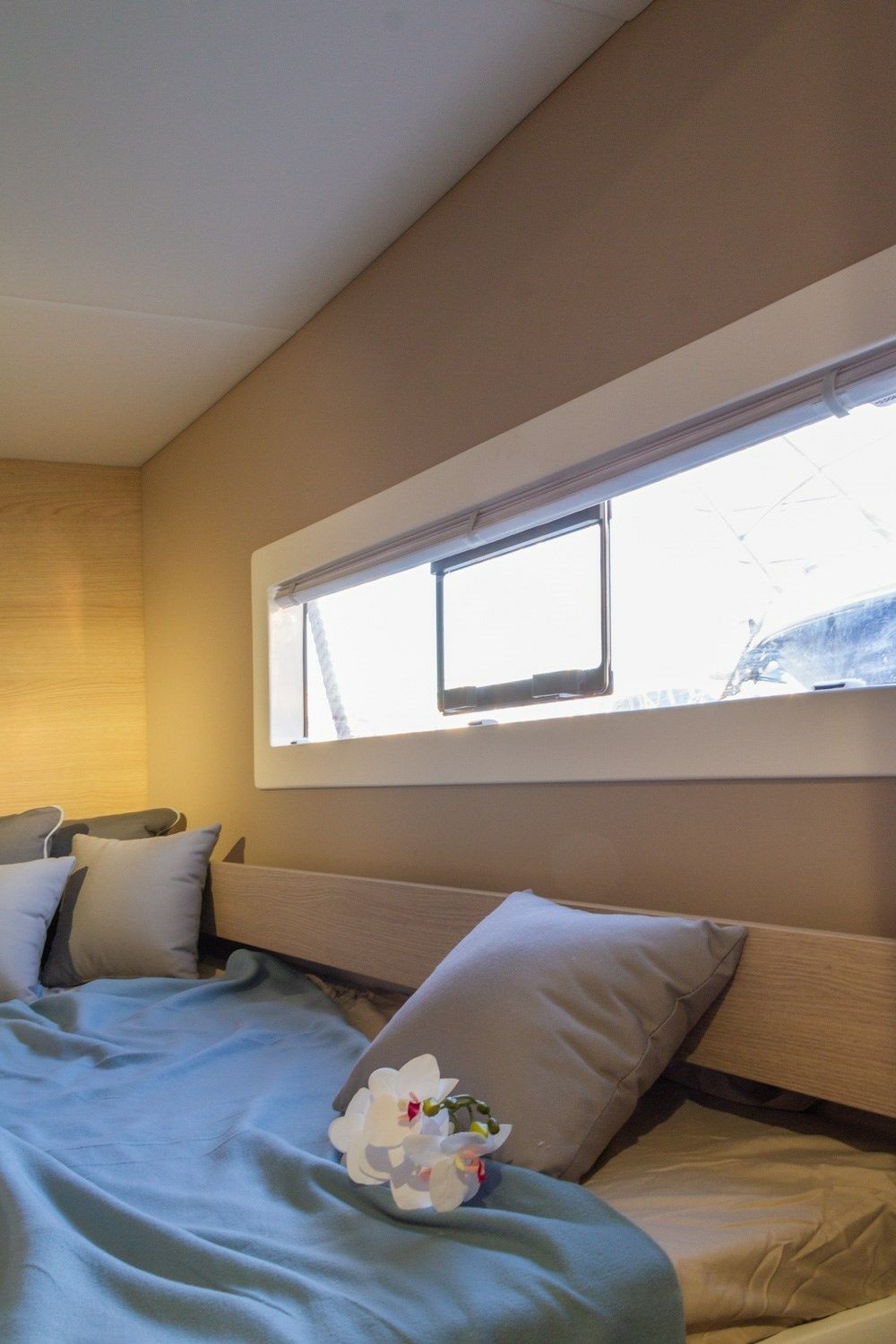 Aventura 37 | Flor de Ibiza