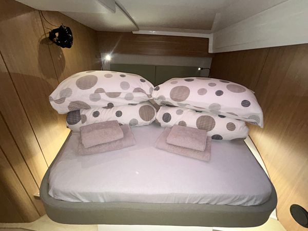 Bali Catspace | Esteri