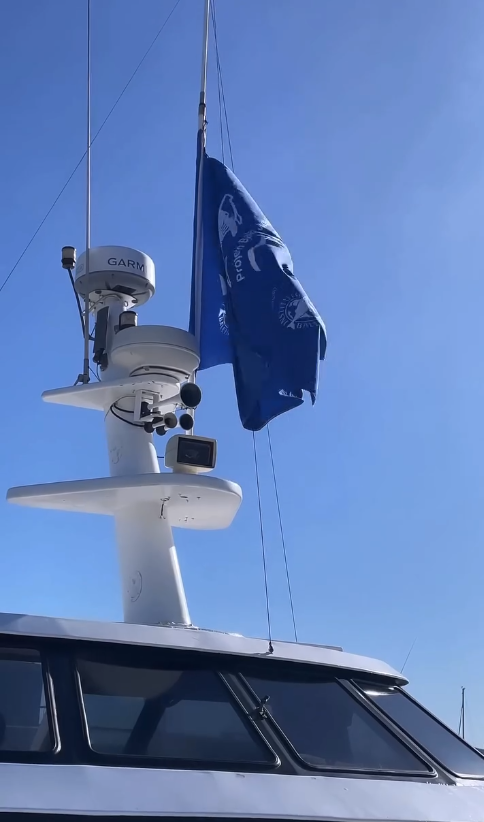 Custom Built 56 | Supernova