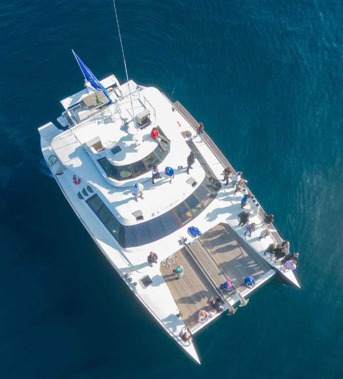 Custom Built 56 | Supernova