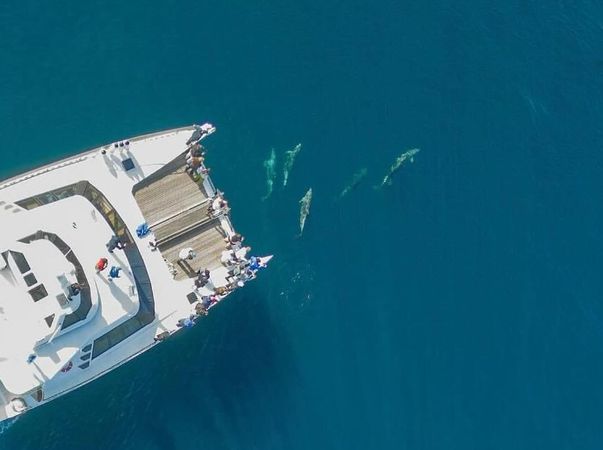 Custom Built 56 | Supernova