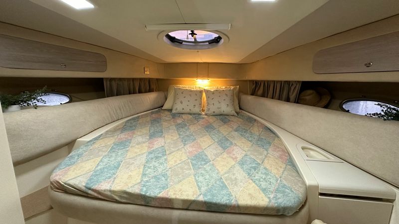 Cranchi 36 | Mireia Segona