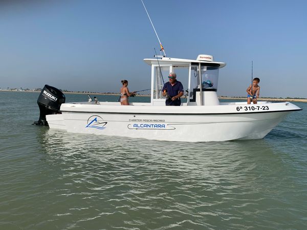 Polymade 780 | Alcantara