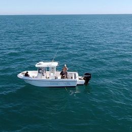 Polymade 780 | Alcantara