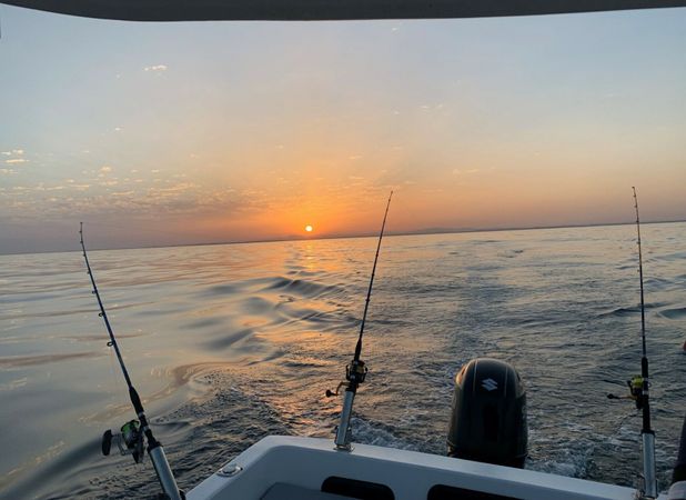 Polymade 780 | Alcantara