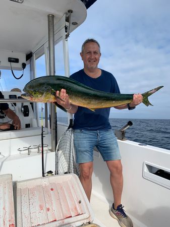 Polymade 780 | Alcantara