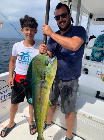 Polymade 780 | Alcantara