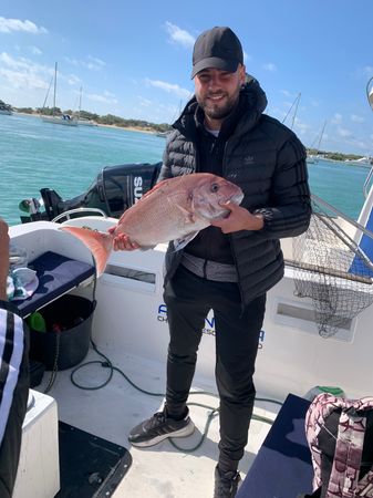 Polymade 780 | Alcantara