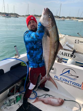 Polymade 780 | Alcantara