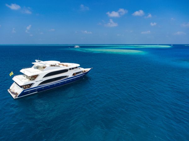 Custom Built 118 | Duke of York