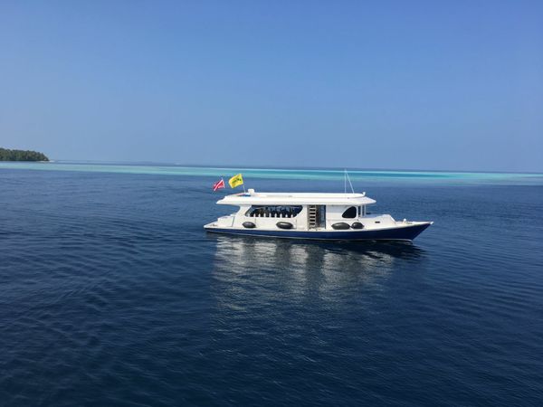 Custom Built 118 | Duke of York