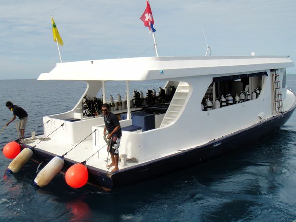 Custom Built 118 | Duke of York