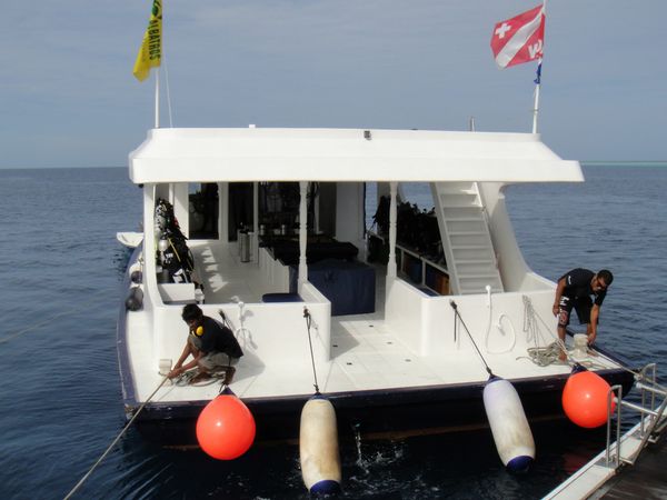 Custom Built 118 | Duke of York