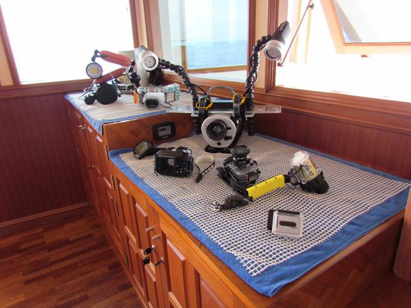 Custom Built 118 | Duke of York