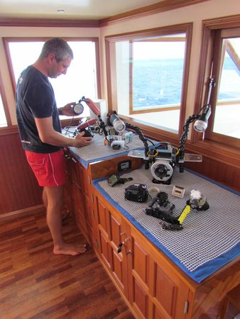 Custom Built 118 | Duke of York