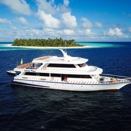 Custom Built 108 | Conte Max