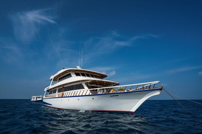 Custom Built 108 | Conte Max