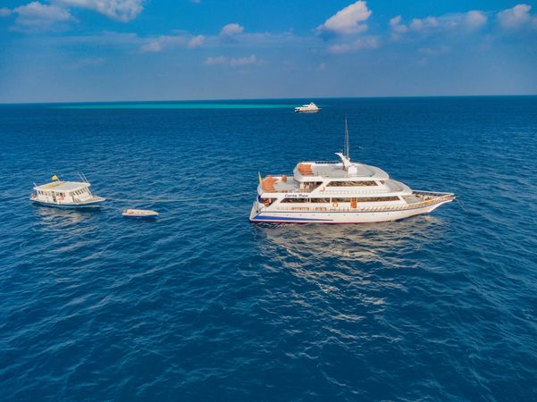 Custom Built 108 | Conte Max