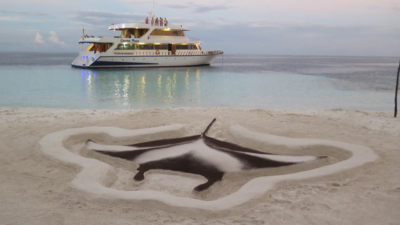 Custom Built 108 | Conte Max