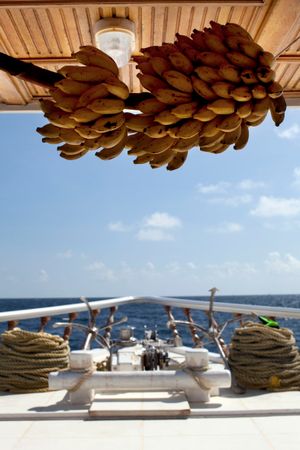 Custom Built 108 | Conte Max