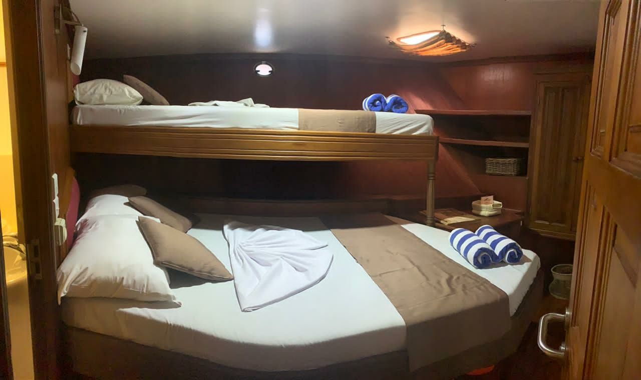 Custom Built 108 | Conte Max