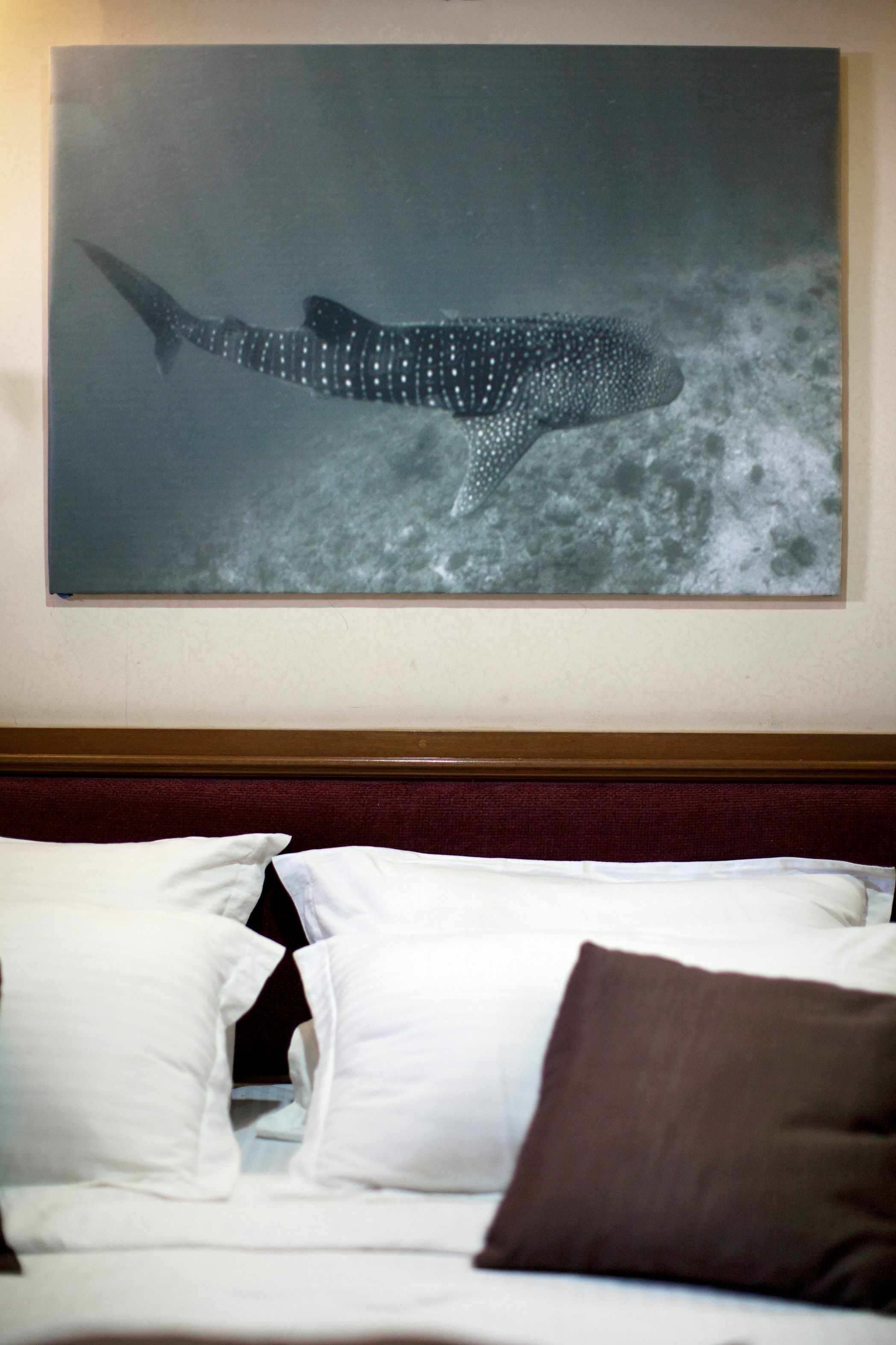 Custom Built 108 | Conte Max