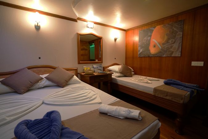 Custom Built 108 | Conte Max