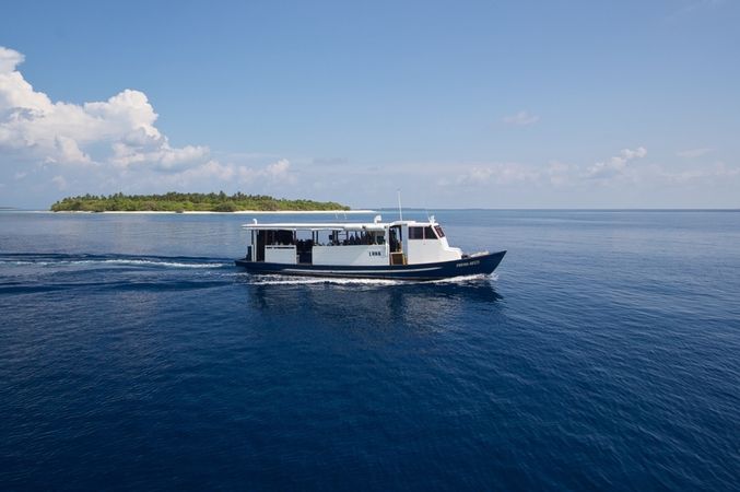 Custom Built 108 | Conte Max