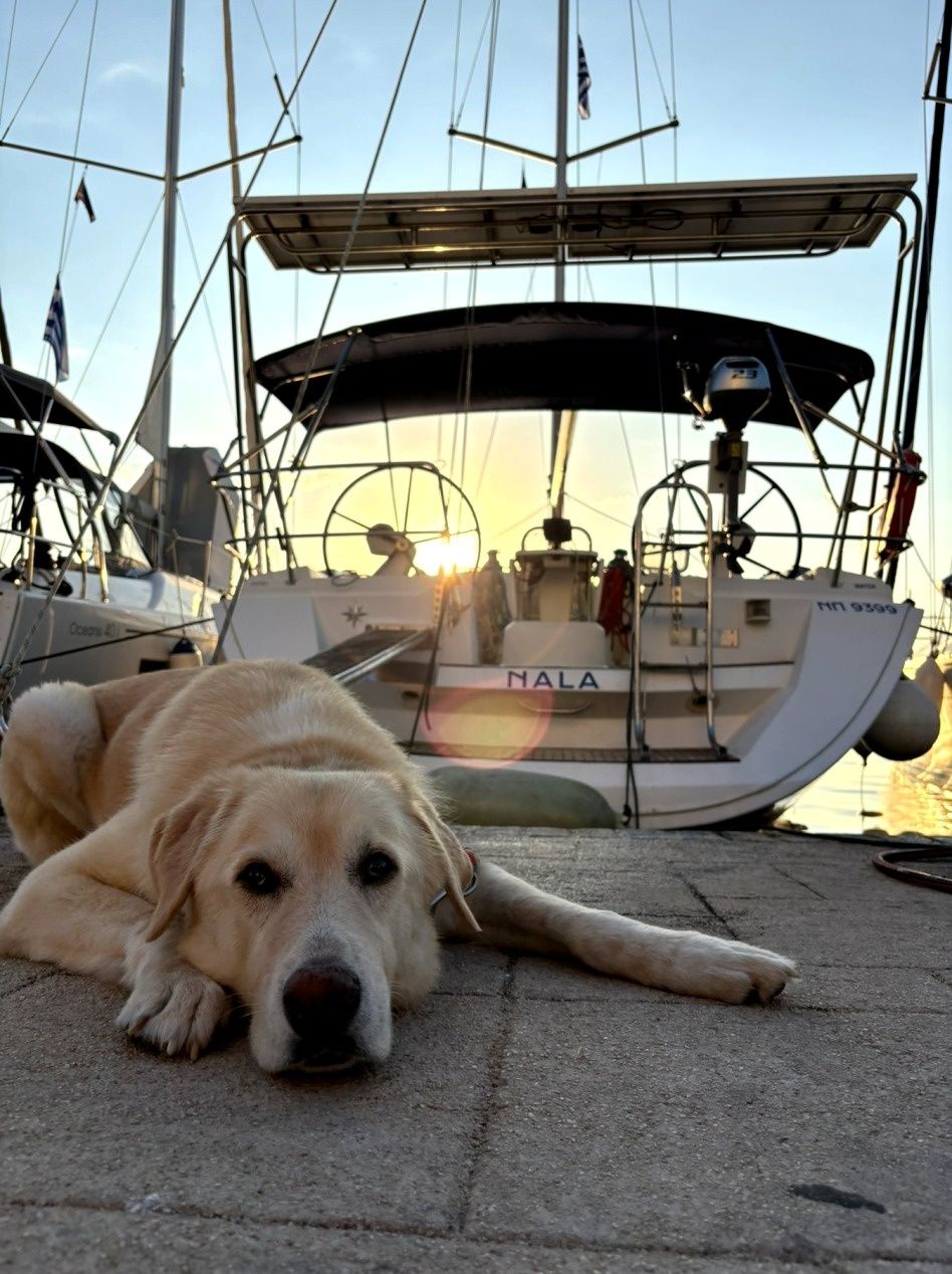 Jeanneau Sun Odyssey 45 | Nala