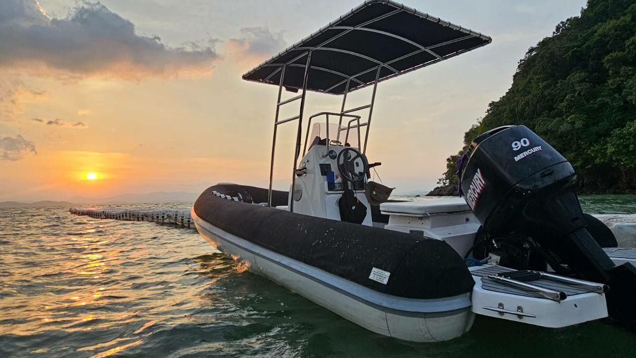 Zodiac Open 5.5 | Zazu