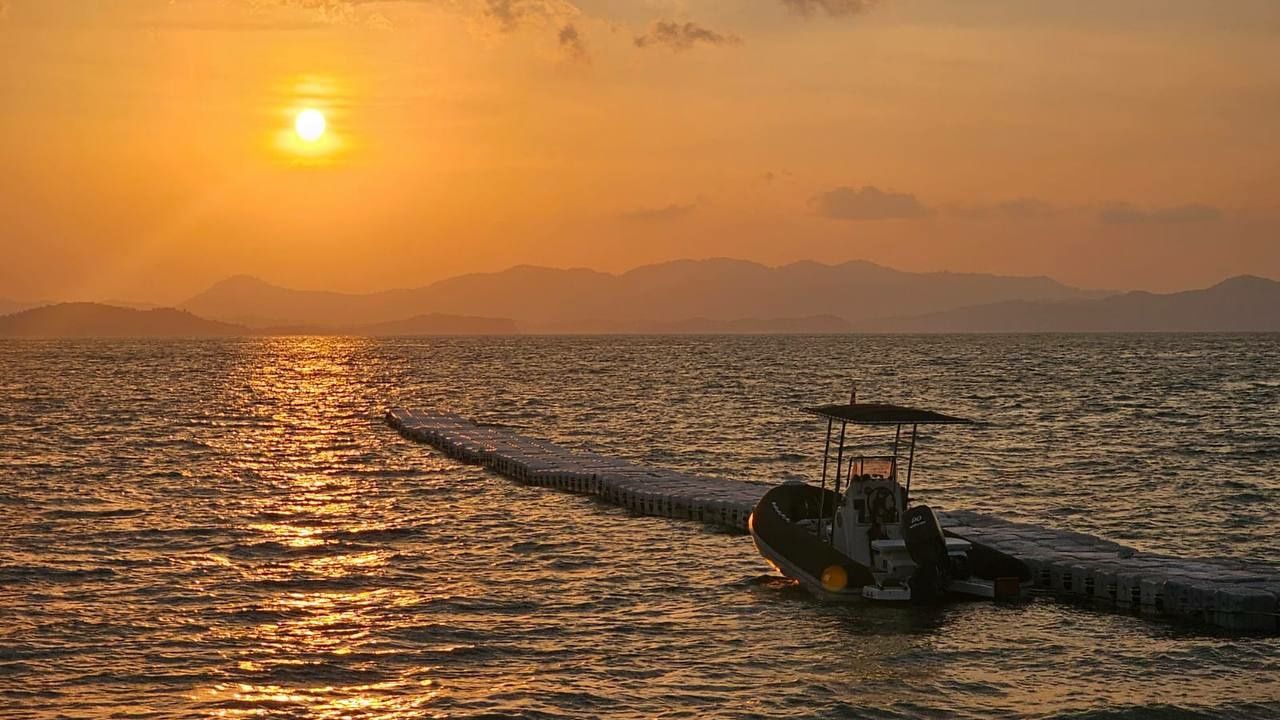 Zodiac Open 5.5 | Zazu