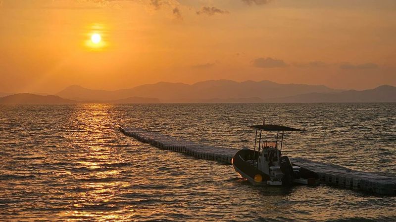 Zodiac Open 5.5 | Zazu