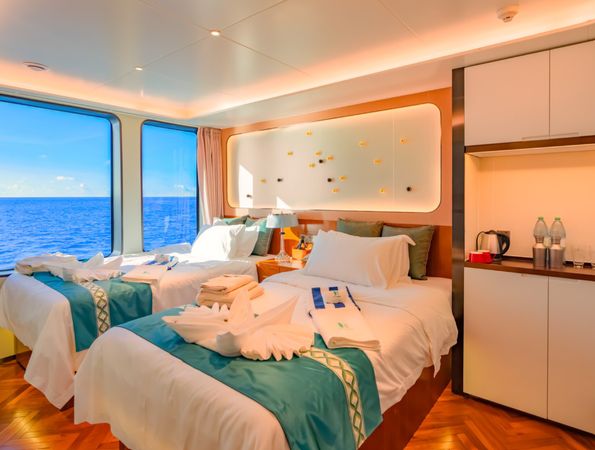 Custom Built 183 | White Pearl