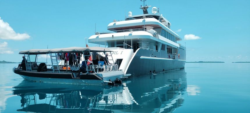 Custom Built 153 | Black Pearl