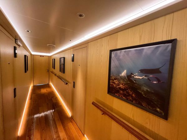 Custom Built 153 | Black Pearl