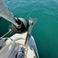 Bavaria C38 | The Cat
